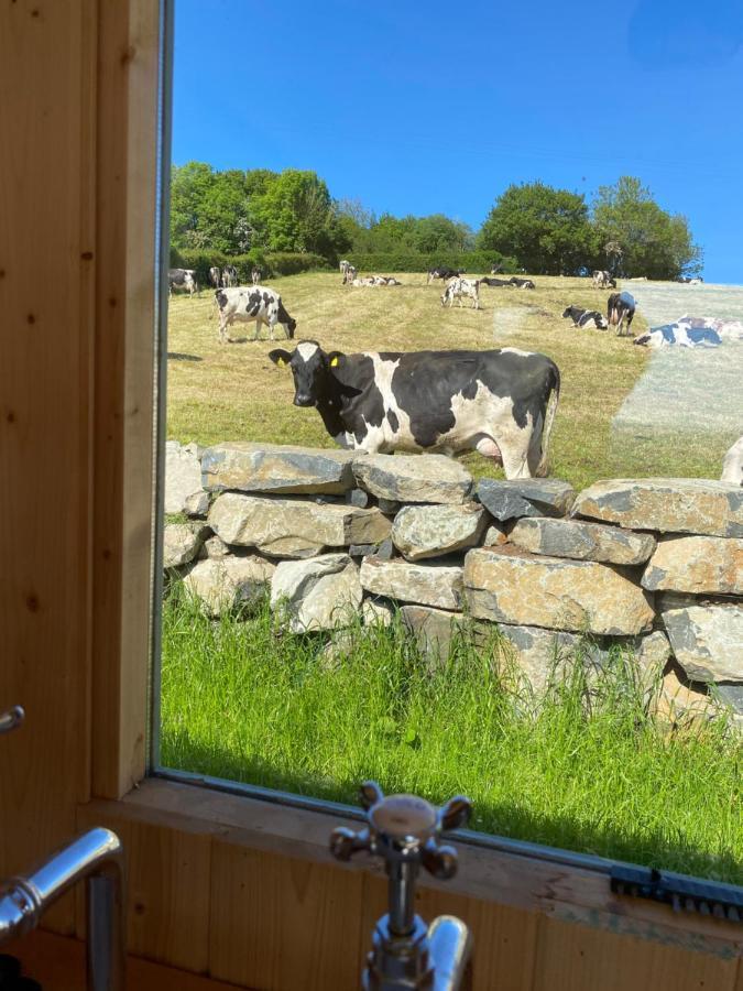 The Stone Wall Hideaway Portglenone Eksteriør bilde